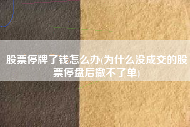 详细阅读:股票停牌了钱怎么办(为什么没成交的股票停盘后撤不了单) 股票停牌了钱怎么办(为什么没成交的股票停盘后撤不了单)