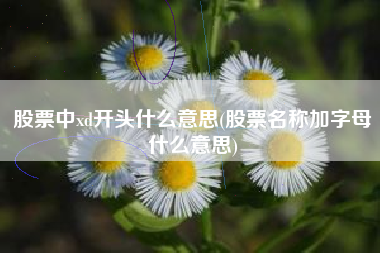 详细阅读:股票中xd开头什么意思(股票名称加字母什么意思) 股票中xd开头什么意思(股票名称加字母什么意思)