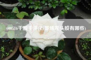 详细阅读:600516千股千评(石墨烯龙头股有哪些) 600516千股千评(石墨烯龙头股有哪些)