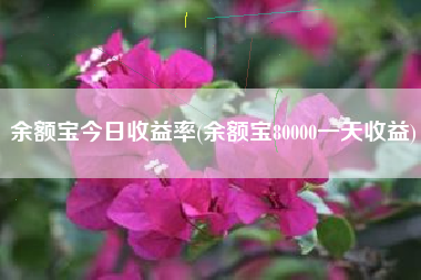 余额宝今日收益率(余额宝80000一天收益)