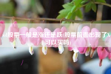 xd股票一般是涨还是跌(股票前面出现了XD可以买吗)