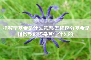 详细阅读:指数型基金是什么意思(怎样区分基金是指数型的还是其他什么的) 指数型基金是什么意思(怎样区分基金是指数型的还是其他什么的)