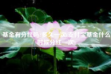 详细阅读:基金有分红吗?多久一次(支付宝基金什么时候分红一次) 基金有分红吗?多久一次(支付宝基金什么时候分红一次)