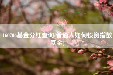 详细阅读:160706基金分红查询(普通人如何投资指数基金) 160706基金分红查询(普通人如何投资指数基金)
