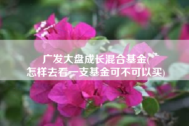 广发大盘成长混合基金(
怎样去看一支基金可不可以买) 广发大盘成长混合基金(
怎样去看一支基金可不可以买)
