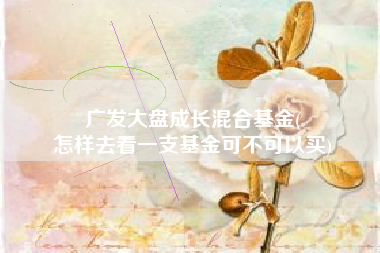 广发大盘成长混合基金(
怎样去看一支基金可不可以买) 广发大盘成长混合基金(
怎样去看一支基金可不可以买)