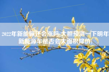 详细阅读:2022年新能源还会涨吗(大胆预测一下明年新能源车是否会大面积降价) 2022年新能源还会涨吗(大胆预测一下明年新能源车是否会大面积降价)