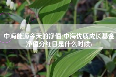 详细阅读:中海能源今天的净值(中海优质成长基金净值分红日是什么时候) 中海能源今天的净值(中海优质成长基金净值分红日是什么时候)
