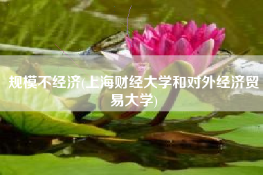 详细阅读:规模不经济(上海财经大学和对外经济贸易大学) 规模不经济(上海财经大学和对外经济贸易大学)