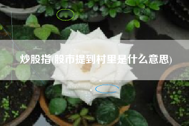 详细阅读:炒股指(股市提到村里是什么意思) 炒股指(股市提到村里是什么意思)