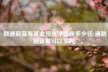 详细阅读:融通新蓝筹基金现在净值是多少钱(通融新蓝筹可以买吗) 融通新蓝筹基金现在净值是多少钱(通融新蓝筹可以买吗)