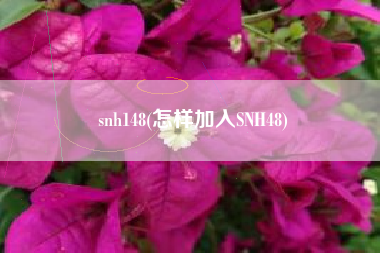 详细阅读:snh148(怎样加入SNH48) snh148(怎样加入SNH48)
