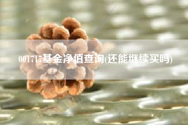 详细阅读:001717基金净值查询(还能继续买吗) 001717基金净值查询(还能继续买吗)