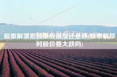 详细阅读:股票解禁后股票应该涨还是跌(股票解禁时股价要大跌吗) 股票解禁后股票应该涨还是跌(股票解禁时股价要大跌吗)