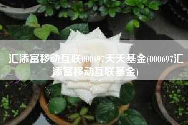 详细阅读:汇添富移动互联000697天天基金(000697汇添富移动互联基金) 汇添富移动互联000697天天基金(000697汇添富移动互联基金)