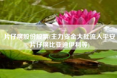 片仔癀股份股票(主力资金大批流入平安片仔癀比亚迪伊利等)