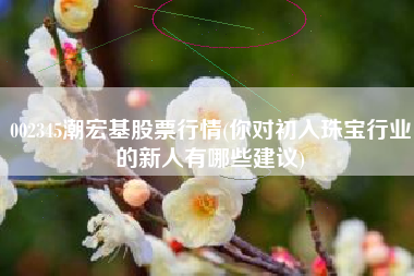 详细阅读:002345潮宏基股票行情(你对初入珠宝行业的新人有哪些建议) 002345潮宏基股票行情(你对初入珠宝行业的新人有哪些建议)