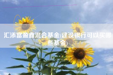 详细阅读:汇添富盈鑫混合基金(建设银行可以买哪些基金) 汇添富盈鑫混合基金(建设银行可以买哪些基金)