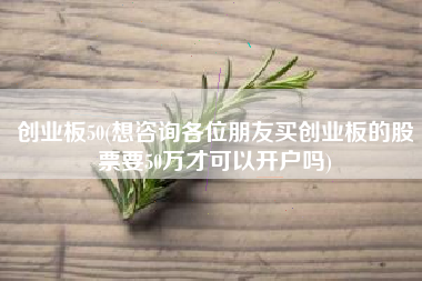 详细阅读:创业板50(想咨询各位朋友买创业板的股票要50万才可以开户吗) 创业板50(想咨询各位朋友买创业板的股票要50万才可以开户吗)
