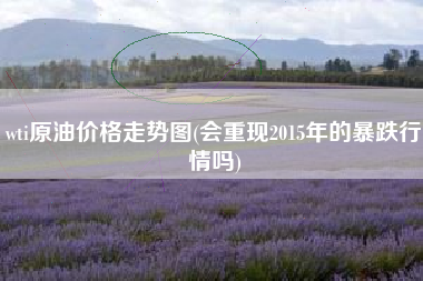 详细阅读:wti原油价格走势图(会重现2015年的暴跌行情吗) wti原油价格走势图(会重现2015年的暴跌行情吗)