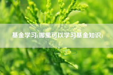 详细阅读:基金学习(哪里可以学习基金知识) 基金学习(哪里可以学习基金知识)