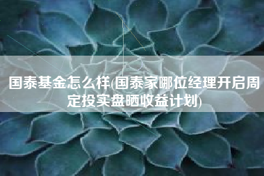 详细阅读:国泰基金怎么样(国泰家哪位经理开启周定投实盘晒收益计划) 国泰基金怎么样(国泰家哪位经理开启周定投实盘晒收益计划)