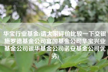 详细阅读:华宝行业基金(请大家评价比较一下交银施罗德基金公司富国基金公司华宝兴业基金公司银华基金公司诺安基金公司优劣) 华宝行业基金(请大家评价比较一下交银施罗德基金公司富国基金公司华宝兴业基金公司银华基金公司诺安基金公司优劣)
