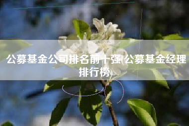 详细阅读:公募基金公司排名前十强(公募基金经理排行榜) 公募基金公司排名前十强(公募基金经理排行榜)