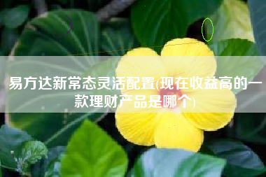 详细阅读:易方达新常态灵活配置(现在收益高的一款理财产品是哪个) 易方达新常态灵活配置(现在收益高的一款理财产品是哪个)