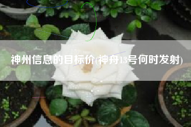 详细阅读:神州信息的目标价(神舟13号何时发射) 神州信息的目标价(神舟13号何时发射)