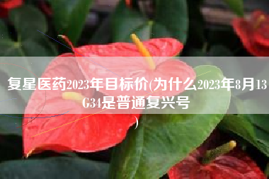 复星医药2023年目标价(为什么2023年8月13G34是普通复兴号
) 复星医药2023年目标价(为什么2023年8月13G34是普通复兴号
)