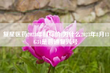 复星医药2023年目标价(为什么2023年8月13G34是普通复兴号
) 复星医药2023年目标价(为什么2023年8月13G34是普通复兴号
)