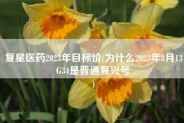 复星医药2023年目标价(为什么2023年8月13G34是普通复兴号
) 复星医药2023年目标价(为什么2023年8月13G34是普通复兴号
)