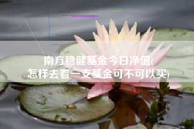 南方稳健基金今日净值(
怎样去看一支基金可不可以买)