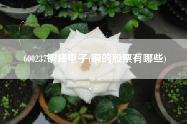 详细阅读:600237铜峰电子(铜的股票有哪些) 600237铜峰电子(铜的股票有哪些)