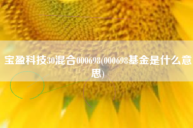 宝盈科技30混合000698(000698基金是什么意思)