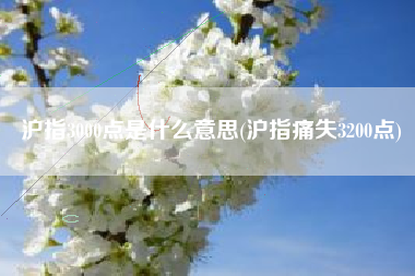 沪指3000点是什么意思(沪指痛失3200点)