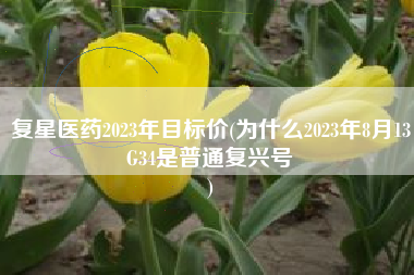 复星医药2023年目标价(为什么2023年8月13G34是普通复兴号
) 复星医药2023年目标价(为什么2023年8月13G34是普通复兴号
)