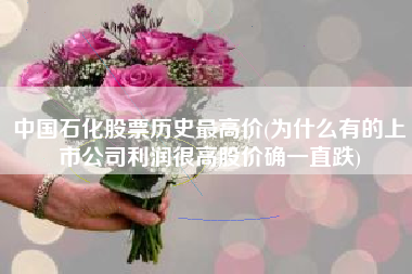 详细阅读:中国石化股票历史最高价(为什么有的上市公司利润很高股价确一直跌) 中国石化股票历史最高价(为什么有的上市公司利润很高股价确一直跌)