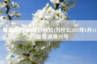 复星医药2023年目标价(为什么2023年8月13G34是普通复兴号
) 复星医药2023年目标价(为什么2023年8月13G34是普通复兴号
)
