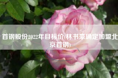 详细阅读:首钢股份2022年目标价(林书豪确定加盟北京首钢) 首钢股份2022年目标价(林书豪确定加盟北京首钢)