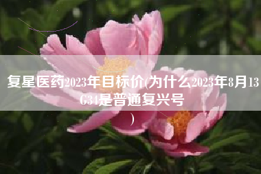 复星医药2023年目标价(为什么2023年8月13G34是普通复兴号
) 复星医药2023年目标价(为什么2023年8月13G34是普通复兴号
)