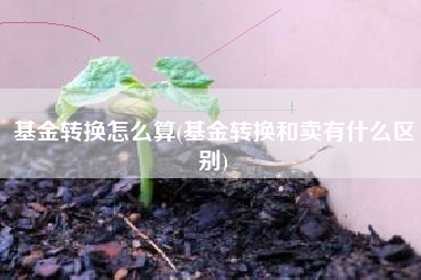 详细阅读:基金转换怎么算(基金转换和卖有什么区别) 基金转换怎么算(基金转换和卖有什么区别)