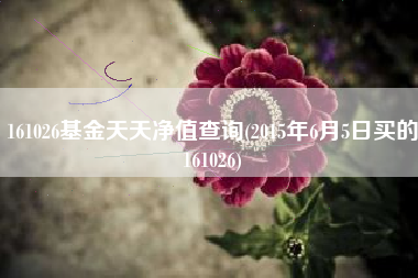 详细阅读:161026基金天天净值查询(2015年6月5日买的161026) 161026基金天天净值查询(2015年6月5日买的161026)