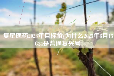 复星医药2023年目标价(为什么2023年8月13G34是普通复兴号
) 复星医药2023年目标价(为什么2023年8月13G34是普通复兴号
)