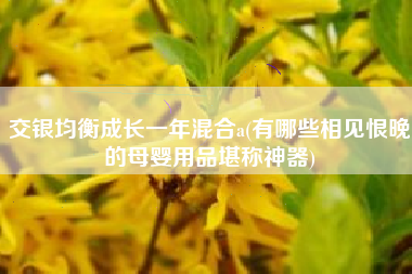 详细阅读:交银均衡成长一年混合a(有哪些相见恨晚的母婴用品堪称神器) 交银均衡成长一年混合a(有哪些相见恨晚的母婴用品堪称神器)