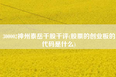 详细阅读:300002神州泰岳千股千评(股票的创业板的代码是什么) 300002神州泰岳千股千评(股票的创业板的代码是什么)