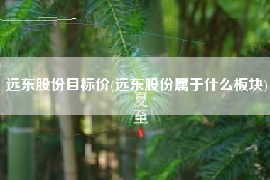 详细阅读:远东股份目标价(远东股份属于什么板块) 远东股份目标价(远东股份属于什么板块)
