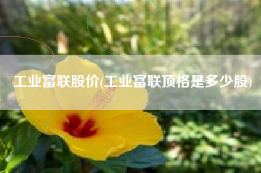 详细阅读:工业富联股价(工业富联顶格是多少股) 工业富联股价(工业富联顶格是多少股)