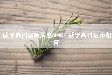 详细阅读:威孚高科最新消息(000581威孚高科后市如何) 威孚高科最新消息(000581威孚高科后市如何)
